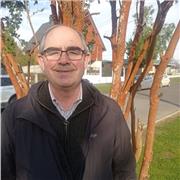 Profesor de apoyo en el área de lenguaje to a segundo medio, experiencia demostrable